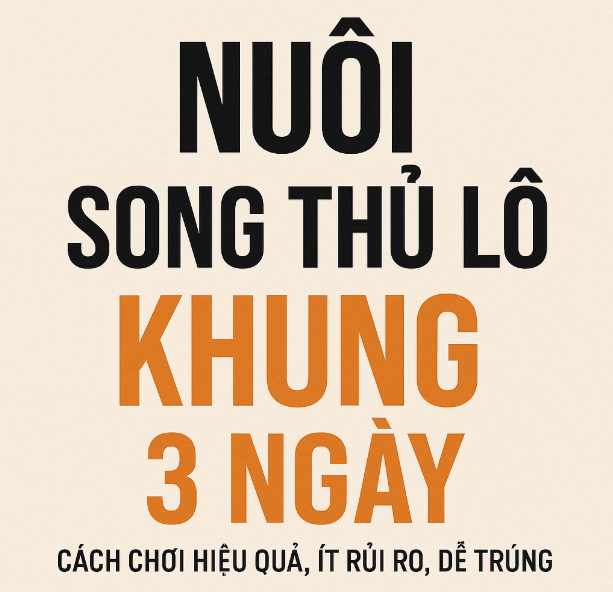 nuôi song thủ lô khung 3 ngày
